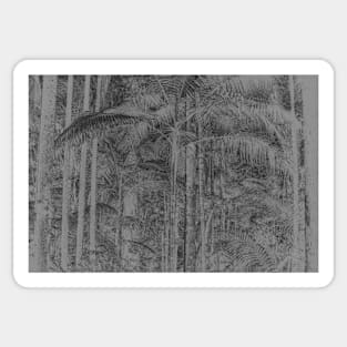 Palms in the rainforest Sticker